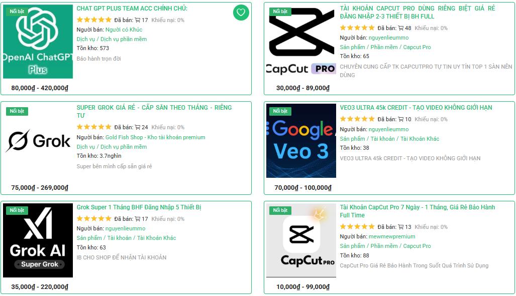 Tạp Hoá MMO Giá Rẻ Có Thực Sự Là Lựa Chọn Tốt Cho Người Làm Kiếm Tiền Online?